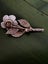STERLING SILVER WHITE ROSE Vintage BROOCH Carousel 8