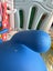 Children ride-on bouncing cow Carousel 10