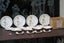 Unused Crown Lynn 20 piece Ironstone dinnerware still with original box Carousel 3