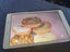 Samsung Galaxy Tablet A - great 4kids Carousel 1