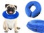 PTN NEW Dog Collar Sale Sale Carousel 8