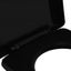 Soft-close Toilet Seat with Quick-release Design Black Oapbxx Carousel 6
