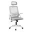 Ergonomic Office Chair Computer Desk Chairs Headrest Adjustable Grey Carousel 1