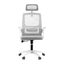 Ergonomic Office Chair Computer Desk Chairs Headrest Adjustable Grey Carousel 3