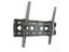 PTN NEW Universal TV Bracket - Sale Sale Sale Carousel 5
