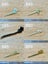 Jade hairpin Carousel 6