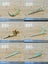 Jade hairpin Carousel 5