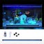Aquarium Light Carousel 7