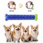 2pcs Pet Dog Chew Toys Aggressive Chewers Teeth Cleaning Oral Toothbrush Rubb... Carousel 4