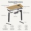 FlexiSpot E2 Pro Essential Standing Desk - 1400x700x25mm - Black Desktop/Black Carousel 3