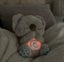 Arrily Calming Otter,Rest Otter Calming Sleep, The Relief Koala Breathing Toy Carousel 7