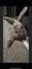 Flemish Giant kits Carousel 14