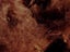 Llama Fleece, 1kg. Henna Coloured Carousel 1