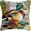 Latch Hook Duck Cushion with Canvas Hook and Threads Kit Carousel 1