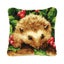 Latch Hook Porcupine Cushion with Canvas Hook and Threads Kit Carousel 1