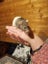 Beautiful baby ratlings Carousel 17