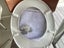 Toilet Seat - HydroWater International - New Carousel 7