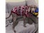 Dog Jacket Carousel 5
