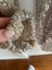 PRINCESS POLLY sz 6/8 Carousel 3