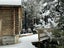 gallery view thumbnail
