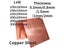 T2 Copper Sheet Thickness Plate Laser Cutting CNC Frame Model Mould DIY Carousel 1