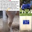 NATURALLY WHITE- Bulk pack of 4 bars for Horses & Dogs with FREE soap bag Carousel 3