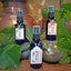 White Sage Hydrosol: Blue Glass Bottle with Atomizer. 50mL Carousel 1