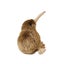 Loading Image 1 of 5