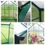 3m x 9m THE ULTIMATE GREENHOUSE 6mm Twin Wall Carousel 4
