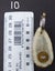 Key Ring - Deer antler with 2 inert shell cases inserted Carousel 3