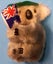 KOALA Carousel 4