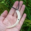 Large Carved Boars Tusk Pendant Set in Sterling Silver Carousel 1