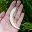 Large Carved Boars Tusk Pendant Set in Sterling Silver Carousel 2