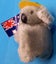 KOALA Carousel 6