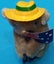 KOALA Carousel 14