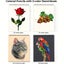 Professional Sketching & Drawing Art Sets: Carousel 9