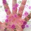 Rose Flowers Printed TPU Transparent Sheets For Bows Earrings DIY Carousel 2
