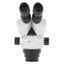 Microscope Carousel 8