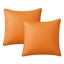 Outdoor Waterproof Throw Pillow Cover - 2 Packs Carousel 7