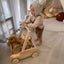 My Duckling Wooden Adjustable Speed Control Baby Walker Carousel 5