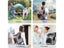 Pet Supplies Puppy Backpack Expandable Large Capacity Breathable Portable Carousel 6