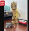 MINISO Disney Super Galaxy Heroes Compatible 76217 Building Block Bricks DIY ... Carousel 4