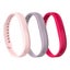 Fitbit Flex 2 Accessory Triple Pack Large FB161AB3PKL - Pink Carousel 5