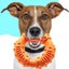 Durable Rubber Ring Dog Chew Toy for Aggressive Chewers - Promotes Dental Health Carousel 1