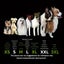 NEW 4pcs Water-Resistant Dog Shoes Protect Your Pet's Paws And Keep Them Dry Carousel 7