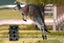 Trail Camera 36MP 1080P Game Hunting Camera with IR Night Vision for Backyard Wi Carousel 5