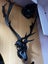 antler artwork Carousel 1