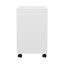 5-drawer Filing Cabinet Mobile Rolling Storage Cabinet Chest Of Drawers Stand... Carousel 4