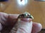 Ruby and Diamond Vintage ring Carousel 4