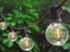 Solar Festoon Lights 15m - 50 Bulbs Carousel 3
